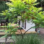 Family нouse -нotel Asai ホテル