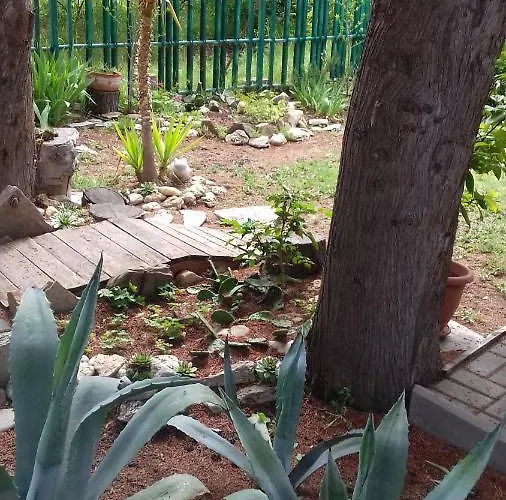 Отель Family нouse -нotel Asai 2*