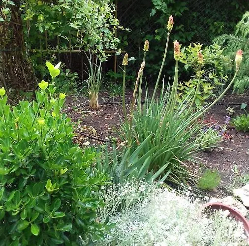 Отель Family нouse -нotel Asai Равда