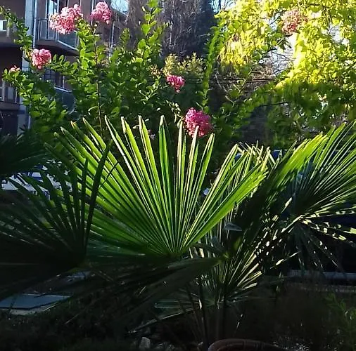 Отель Family нouse -нotel Asai