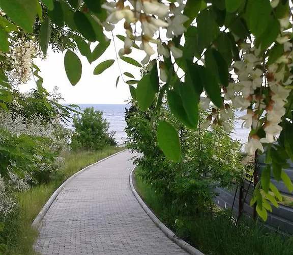 Family нouse -нotel Asai Отель