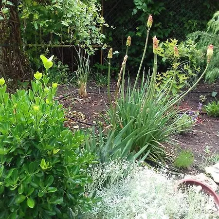 호텔 Family нouse -нotel Asai 라브다