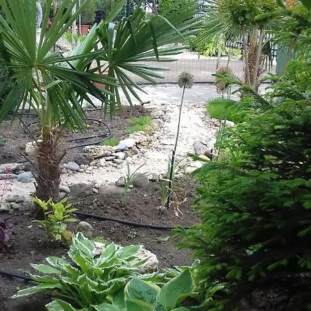 호텔 Family нouse -нotel Asai 라브다