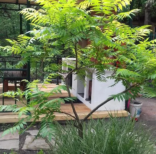 Family нouse -нotel Asai Hotel