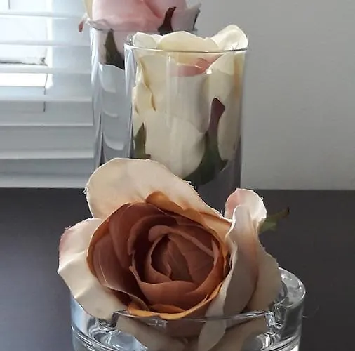 Family нouse -нotel Asai Hotel